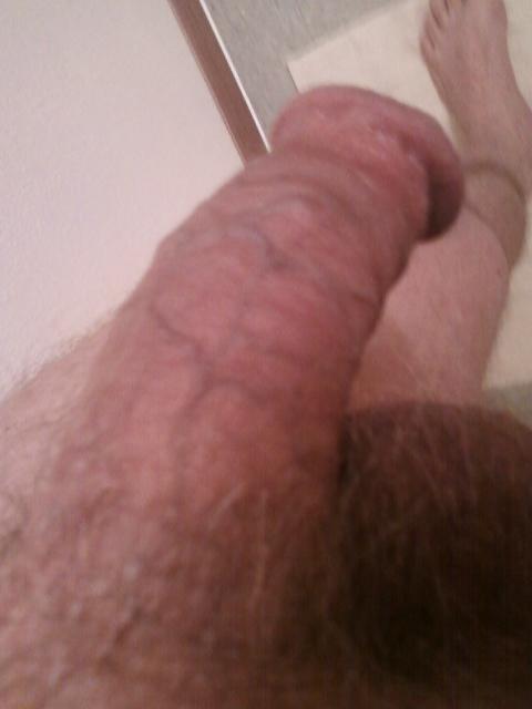Needs TLC