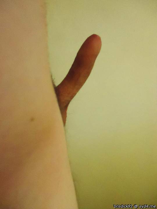 Photo of a drain pipe from brisdick92
