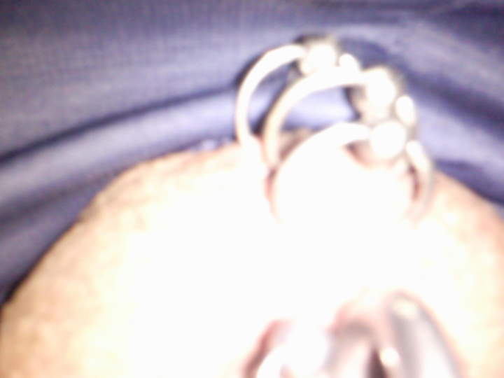 Photo of a python from Cumlover