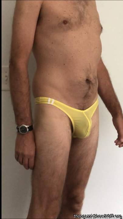 Photo of a snake from thongazz