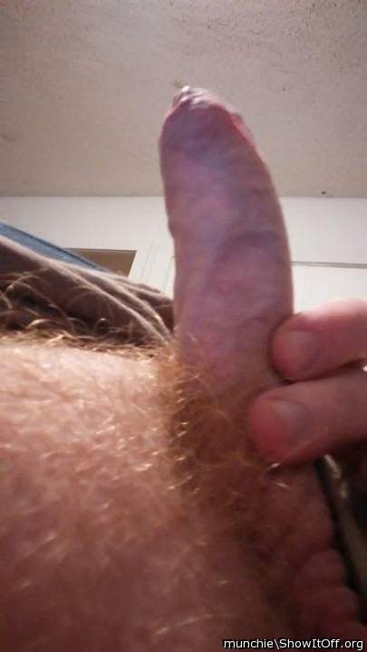 Photo of a drain pipe from Munchie