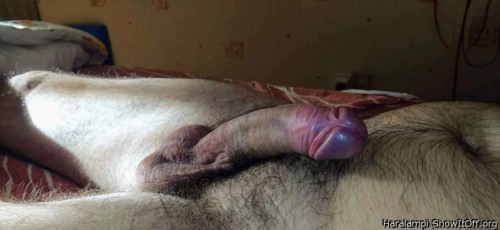 Photo of a ram rod from Haralampi
