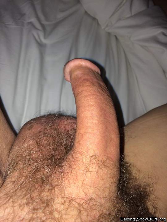 impressive cock