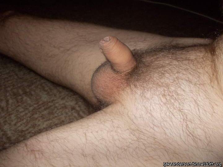 beautiful penis  