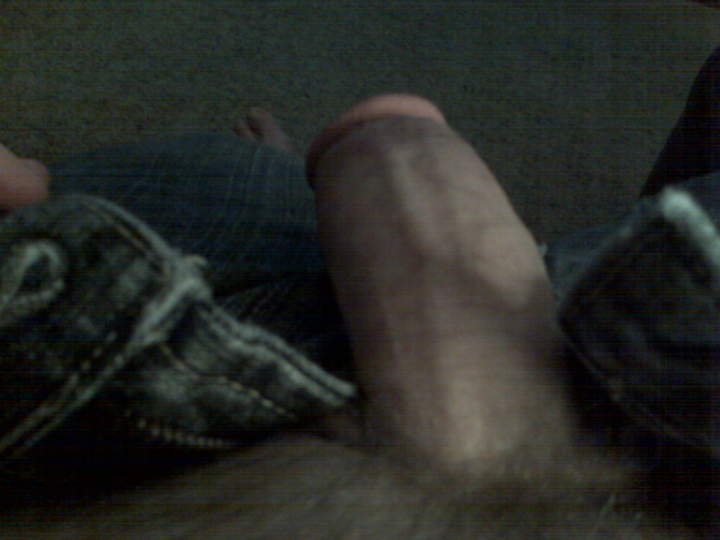 Photo of a ram rod from sticky
