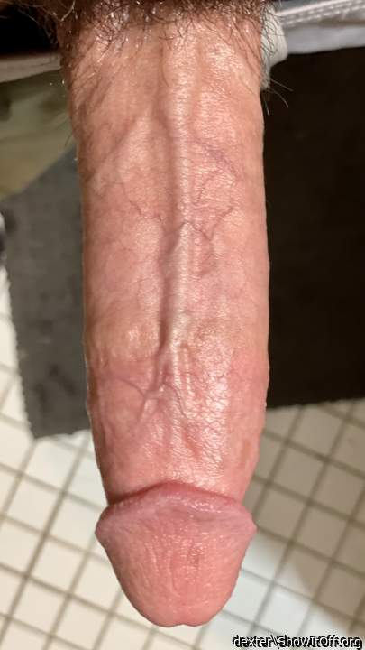 Absolutely magnificent cock, I'd love to see it in person!  
