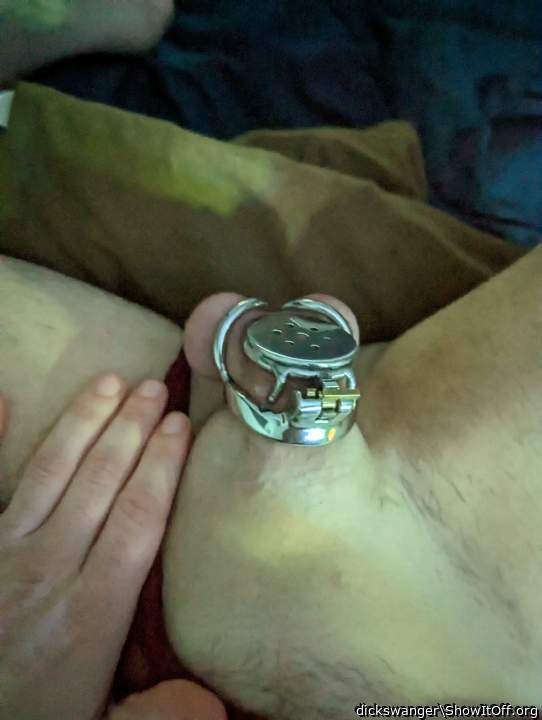 I love my tiny cage