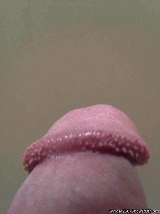 Photo of a one-eyed monster from winger250
