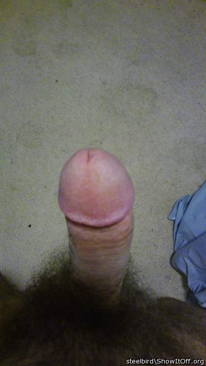 Nice cock and bush