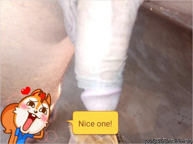 Photo of a middle leg from youngland