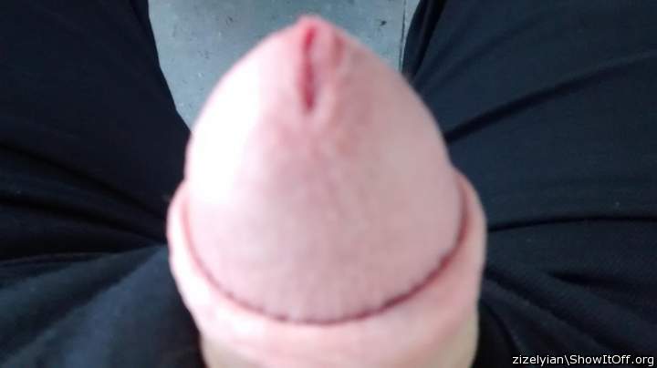 Photo of a boner from zizelyian