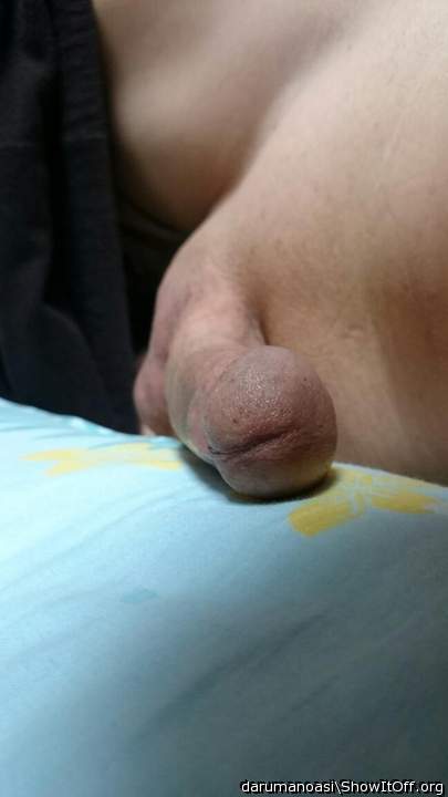 Photo of a short leg from darumanoasi