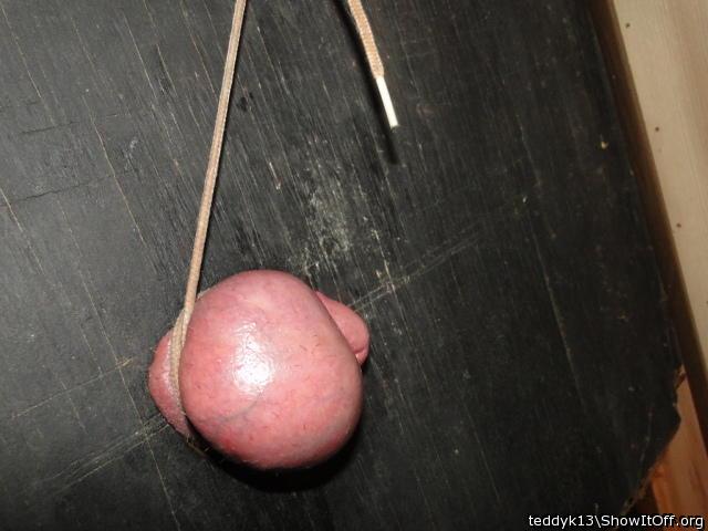 Testicles Photo from teddyk13