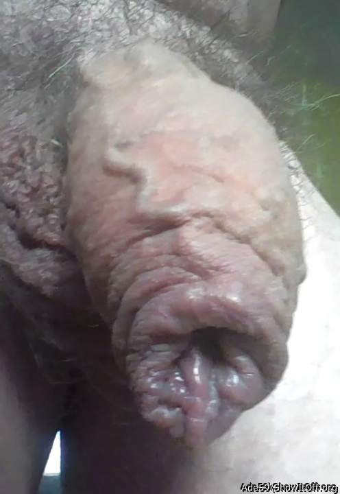 What a lovely cock...!!!  