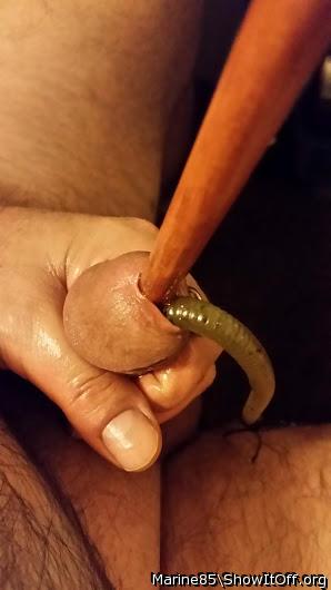 Rubber worm and dowel