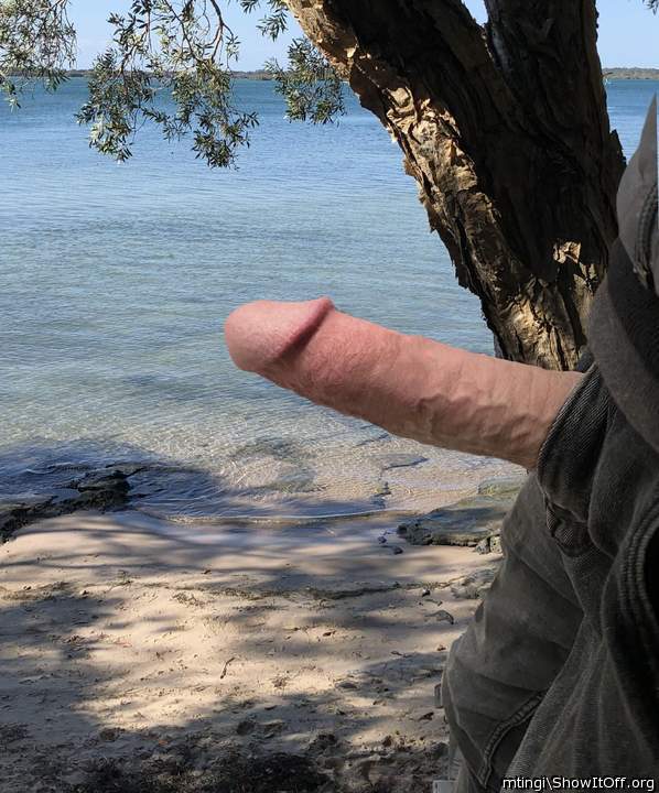What a sexy cock 