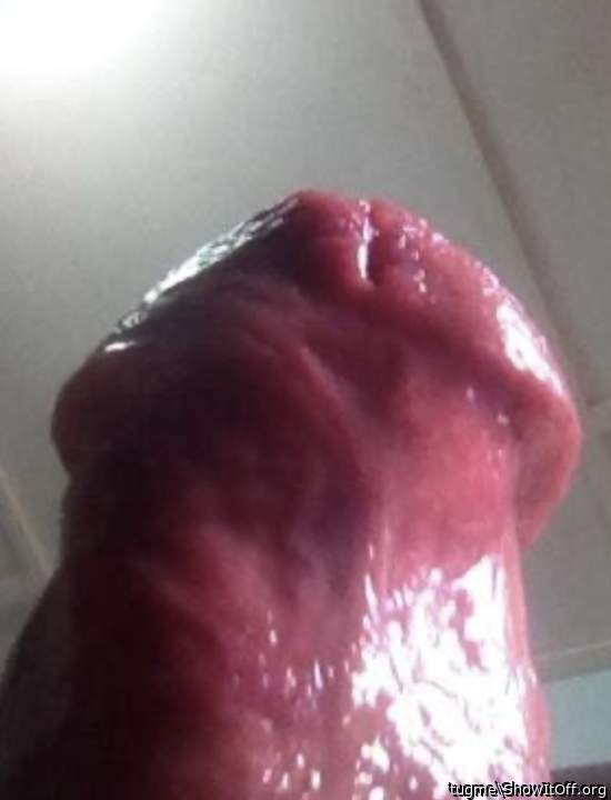 Looks very delicious