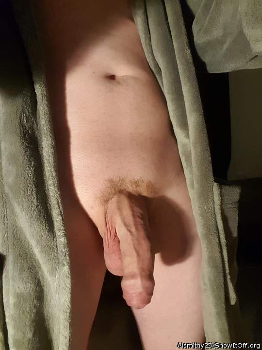 Photo of a middle leg from Alsmithy23