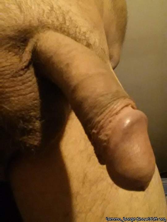 Photo of a boner from Dimmu_Borgir