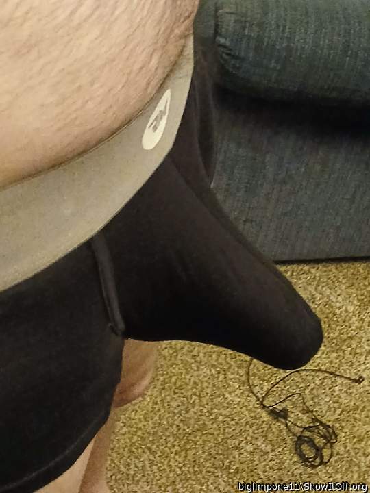 Photo of a snake from biglimpone11