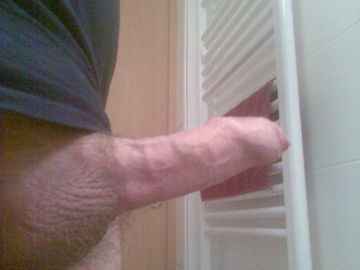 Photo of a lizard from nice_dong
