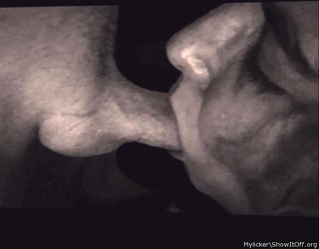 Photo of a short leg from Mylicker