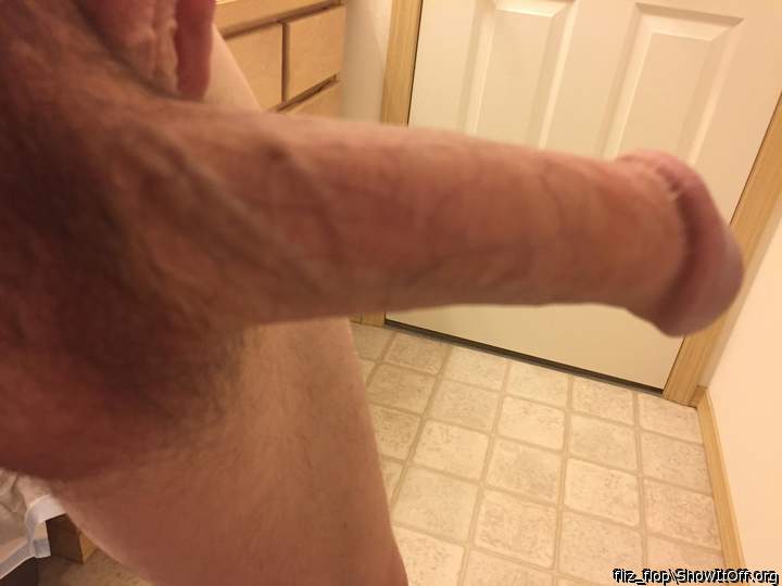 Photo of a lizard from fliz_flop