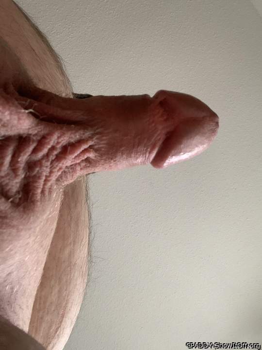 Do you like my circumcised cock?