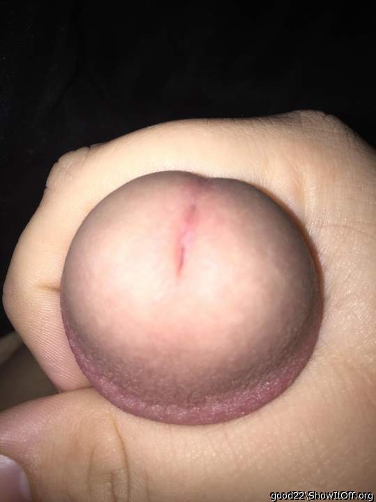 Photo of a tool from good22