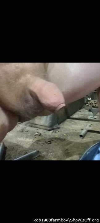 Photo of a penis from Rob1988farmboy