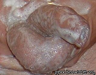 Photo of a bald-headed mouse from pjtxx