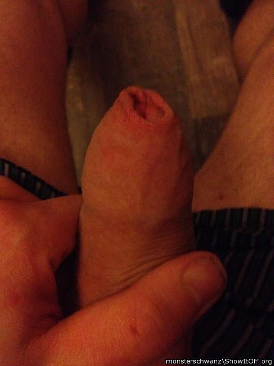 Photo of a short leg from monsterschwanz