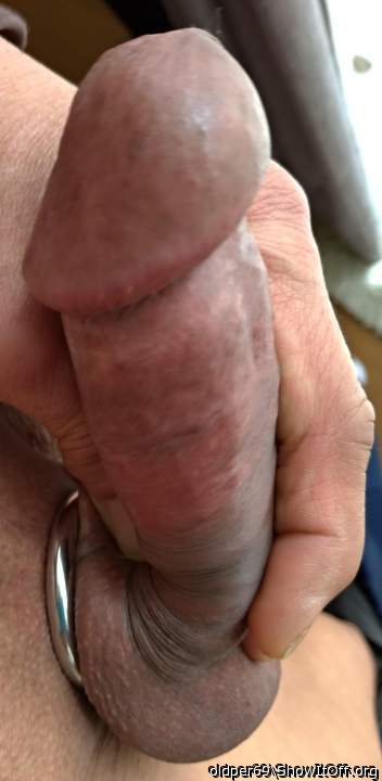 Photo of a python from oldper69