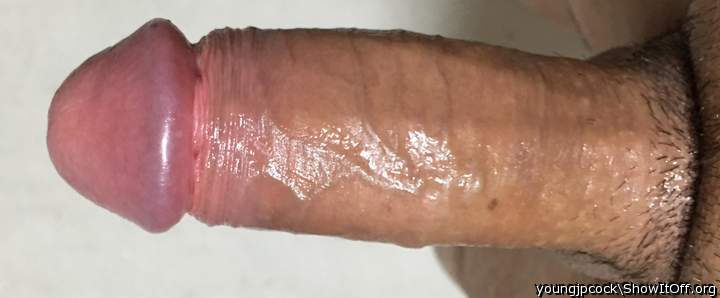 Photo of a middle leg from youngjpcock