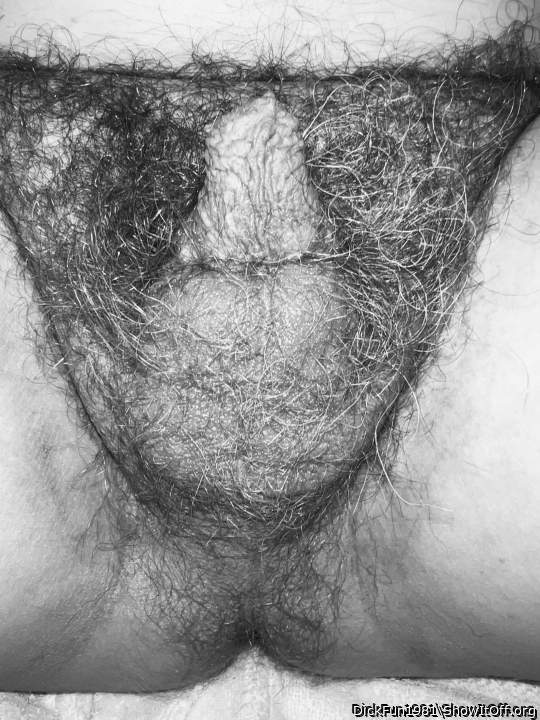 Photo of a lizard from DickFun1981