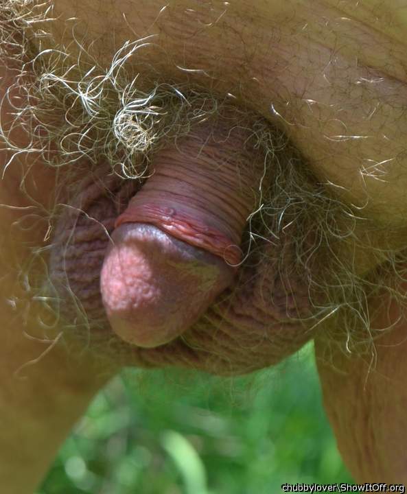 my friend's little fucktoy
