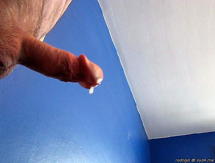 Photo of a phallus from rodrigid