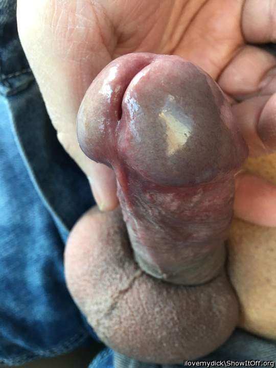 Photo of a lizard from ilovemydick