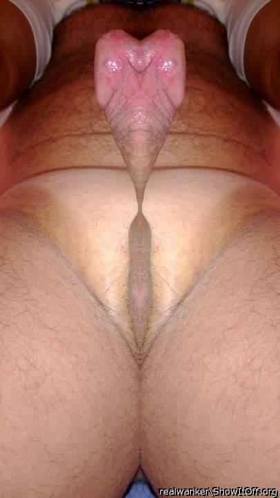 Photo of a middle leg from realwanker