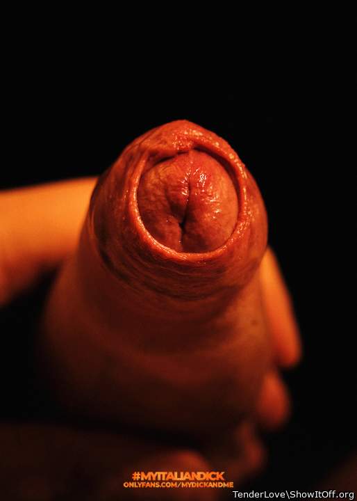 Lick It, Now!!!