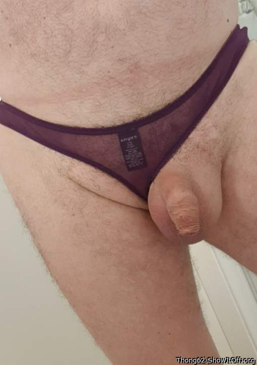 Photo of a lizard from Thong62