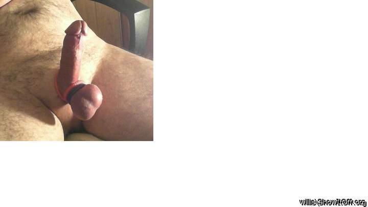 Photo of a boner from willis