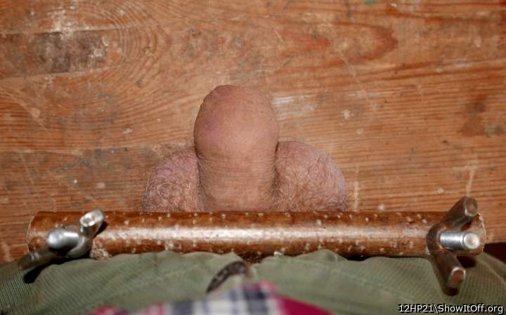 Photo of a phallus from 12HP21