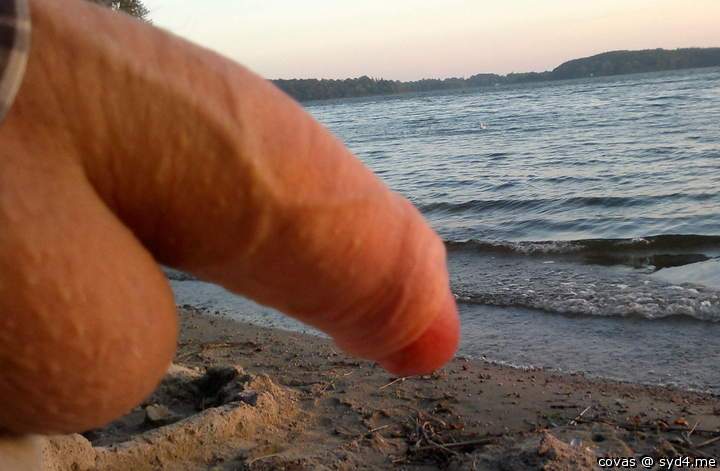 Photo of a middle leg from covas