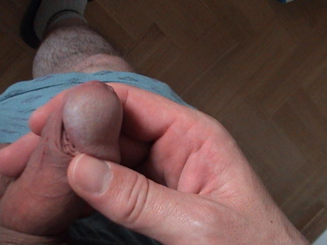 Photo of a wiener from jelusic