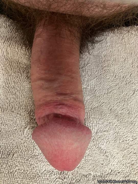 Photo of a middle leg from Irish7X5