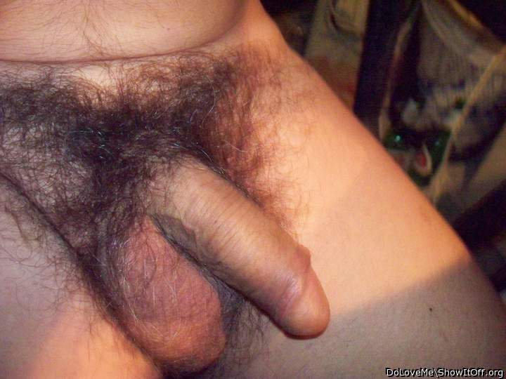 Photo of a bat from DoLoveMe