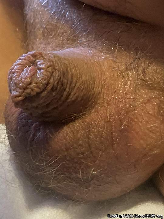 lovely Foreskin   