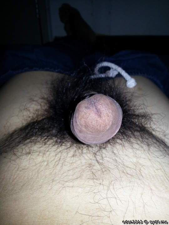 Photo of a third leg from eden2313