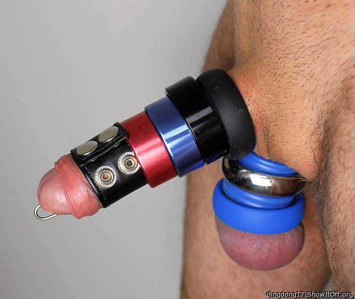 maximum cockrings
